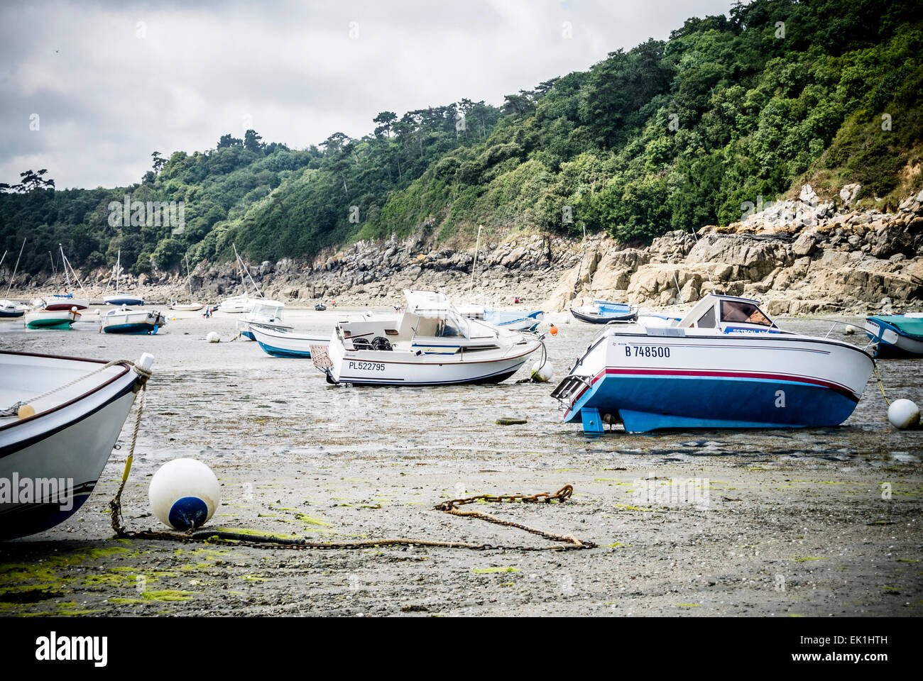 Barche nel porto di bassa marea Foto Stock