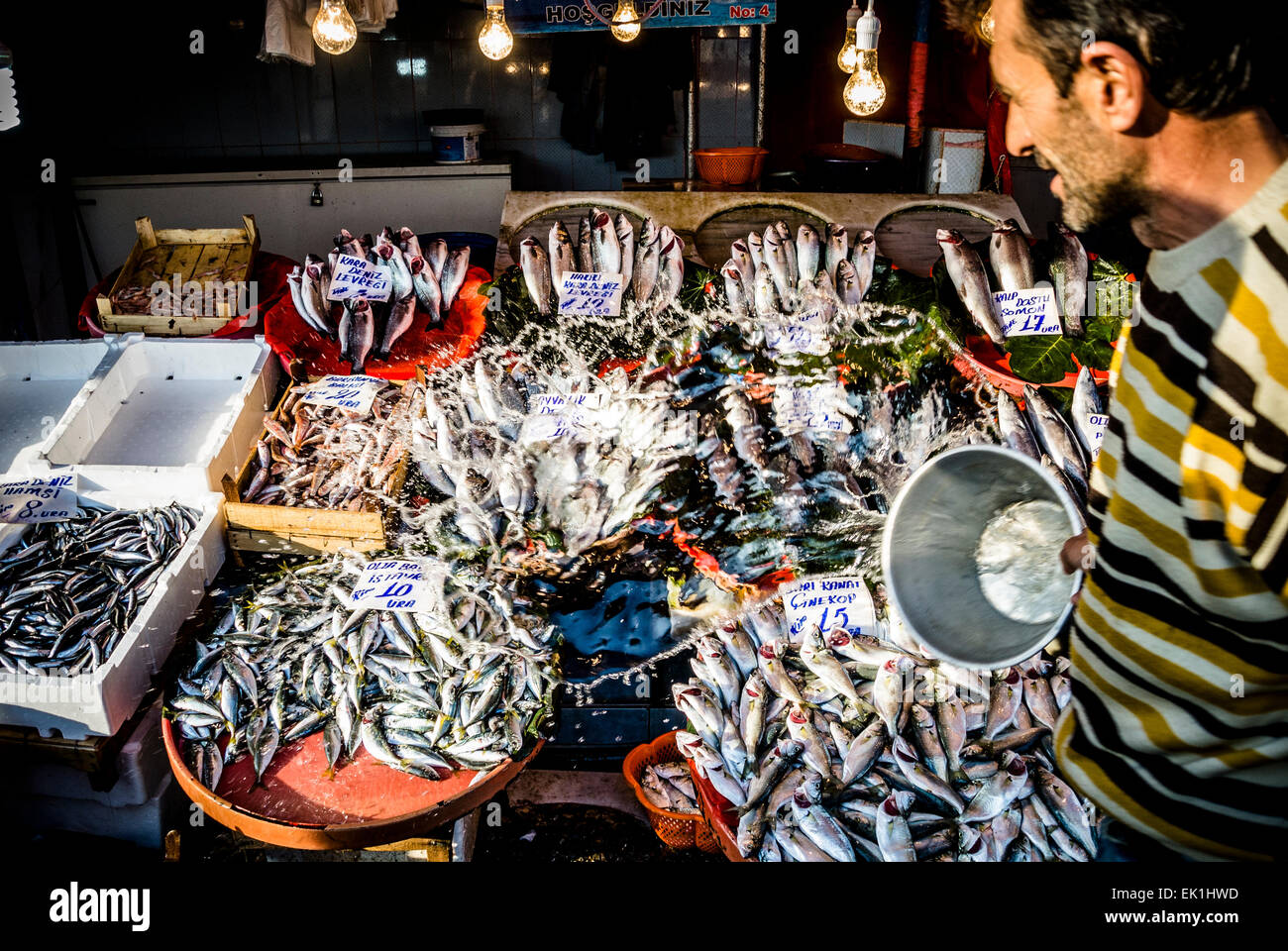 Uomo di gettare acqua su pesci in cabina di pesce Foto Stock