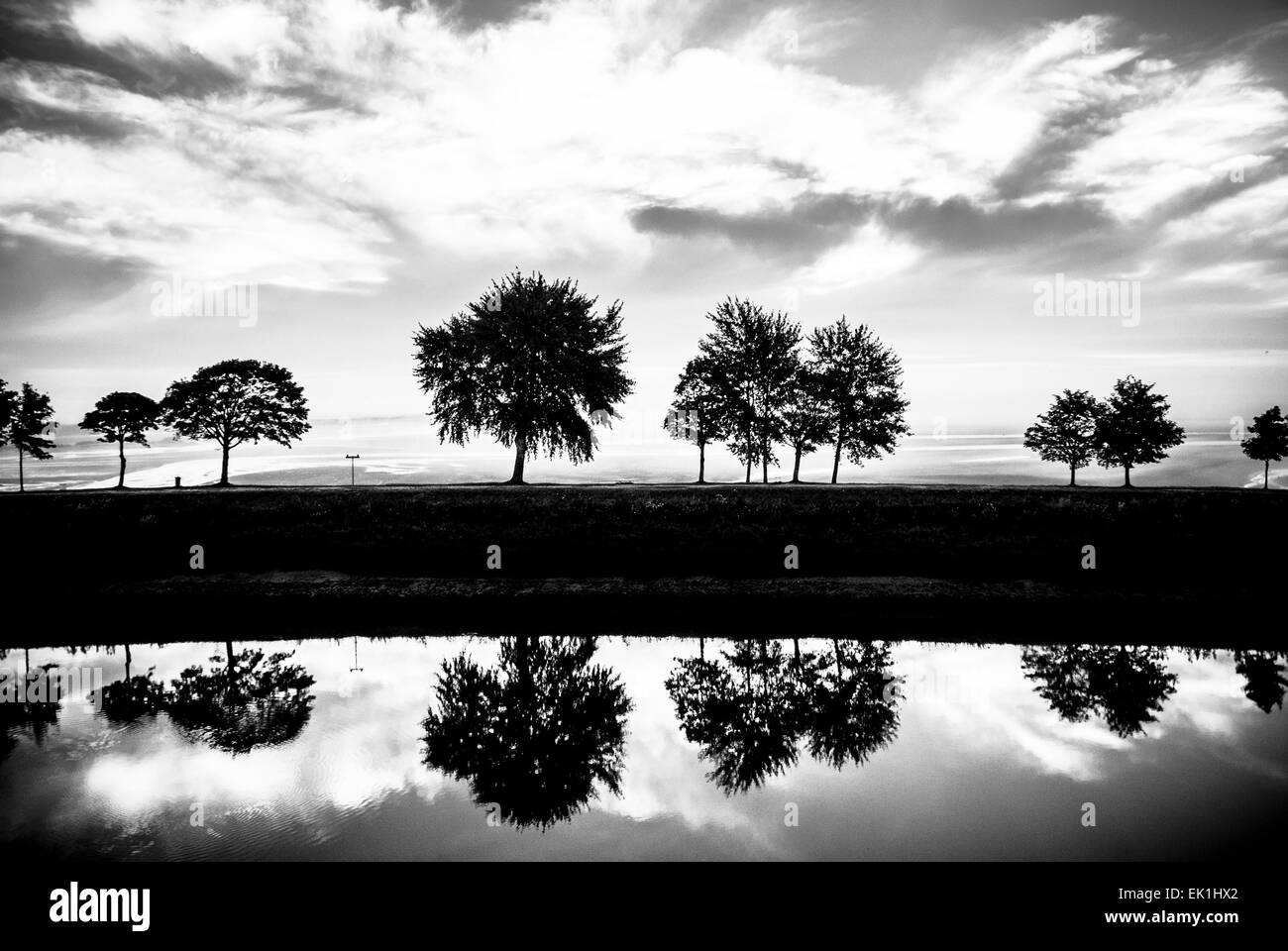 alberi sul levee Foto Stock