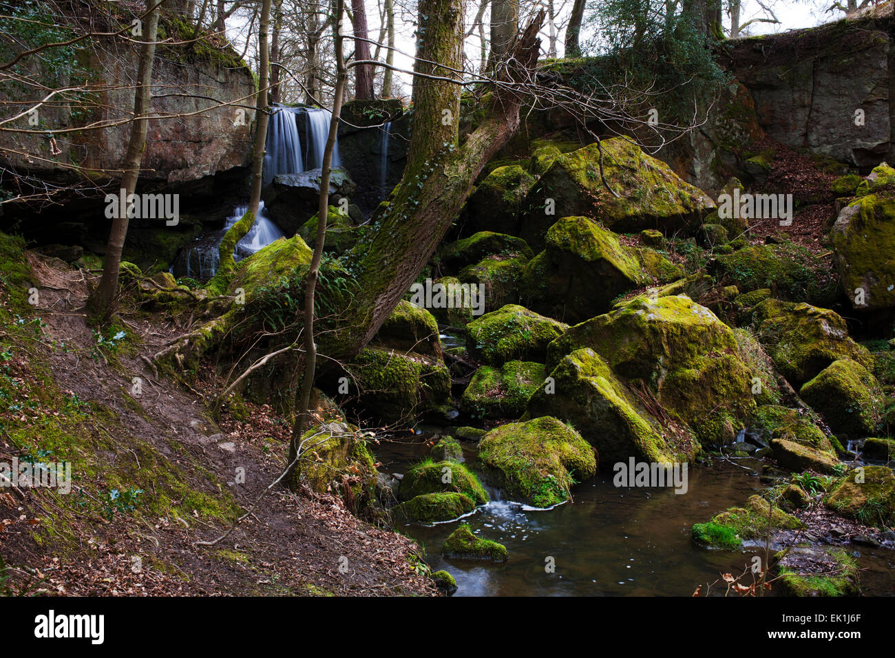 Il Pont bruciare la cascata nel bosco Pontburn nella Contea di Durham. Foto Stock
