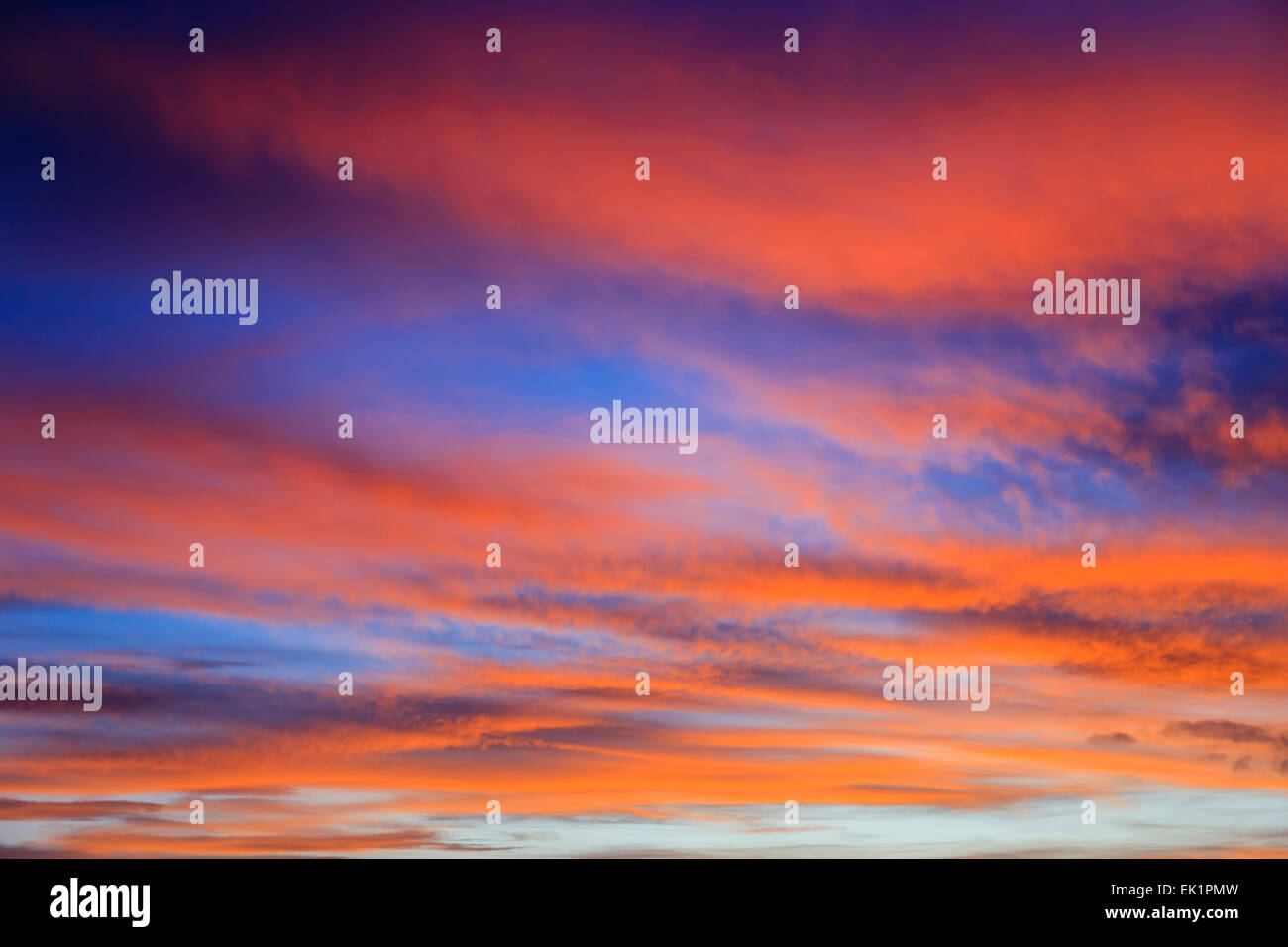 Firey sera di settembre skyscape con nubi accese dal tramonto rosso contro un oscuramento blue sky. Inghilterra, Regno Unito, Gran Bretagna Foto Stock