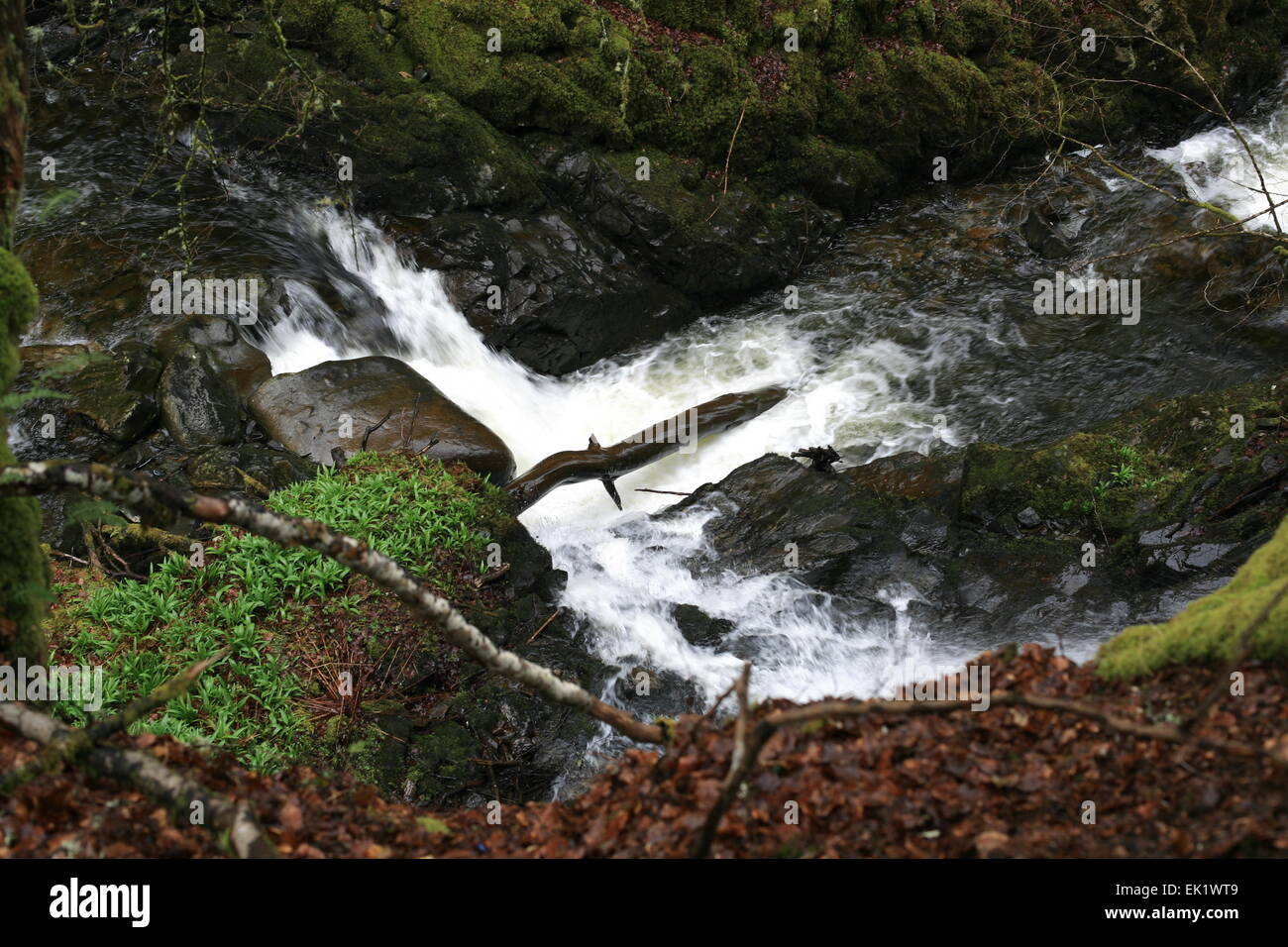 Il cade sul Birks di Aberfeldy Foto Stock
