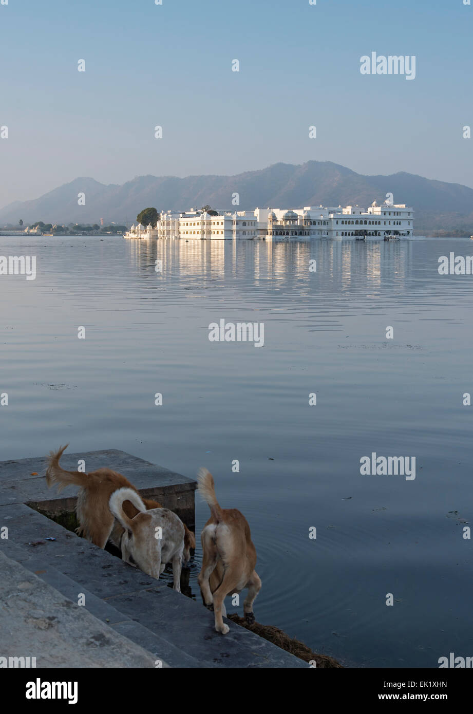 Lake Palace Hotel sul Lago Pichola, Udaipur, Rajasthan, India Foto Stock