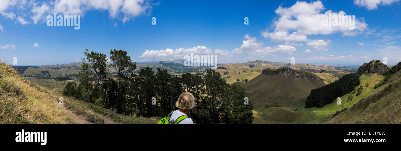 Vista panoramica dal vicino alla parte superiore di Te Mata, Nuova Zelanda, otto frame riprese panoramiche, cucito in photoshop. Foto Stock