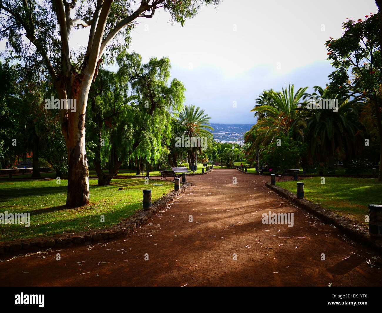 Spagna Isole Canarie Tenerife Puerto de la Cruz Taoro Park Foto Stock