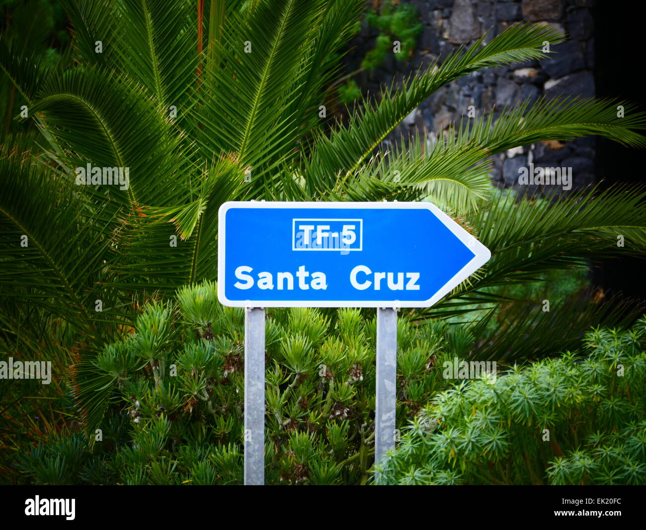 Santa Cruz de la Tenerife Tenerife Isole Canarie Spagna Foto Stock