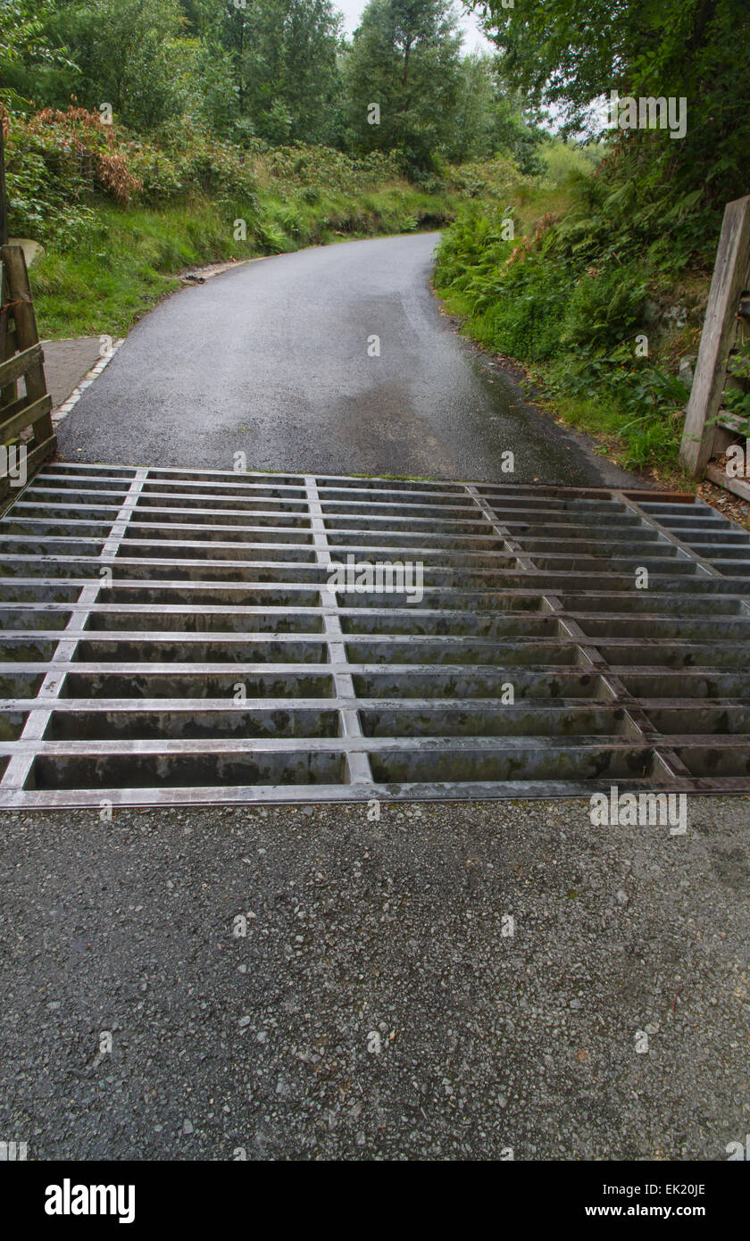 Griglia di bestiame, scorte, griglia di protezione del bestiame, veicolo passano, Texas gate, stock gap o arresto del bestiame. Sulla via che è parte dell'Llanber Foto Stock