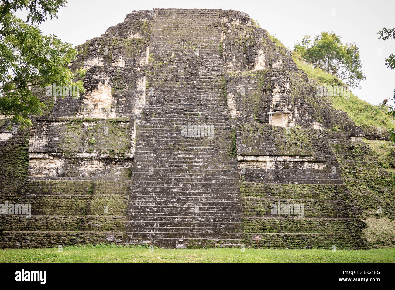 Mondo Perduto (Mundo Perdido) Tempio, Tikal, Guatemala Foto Stock