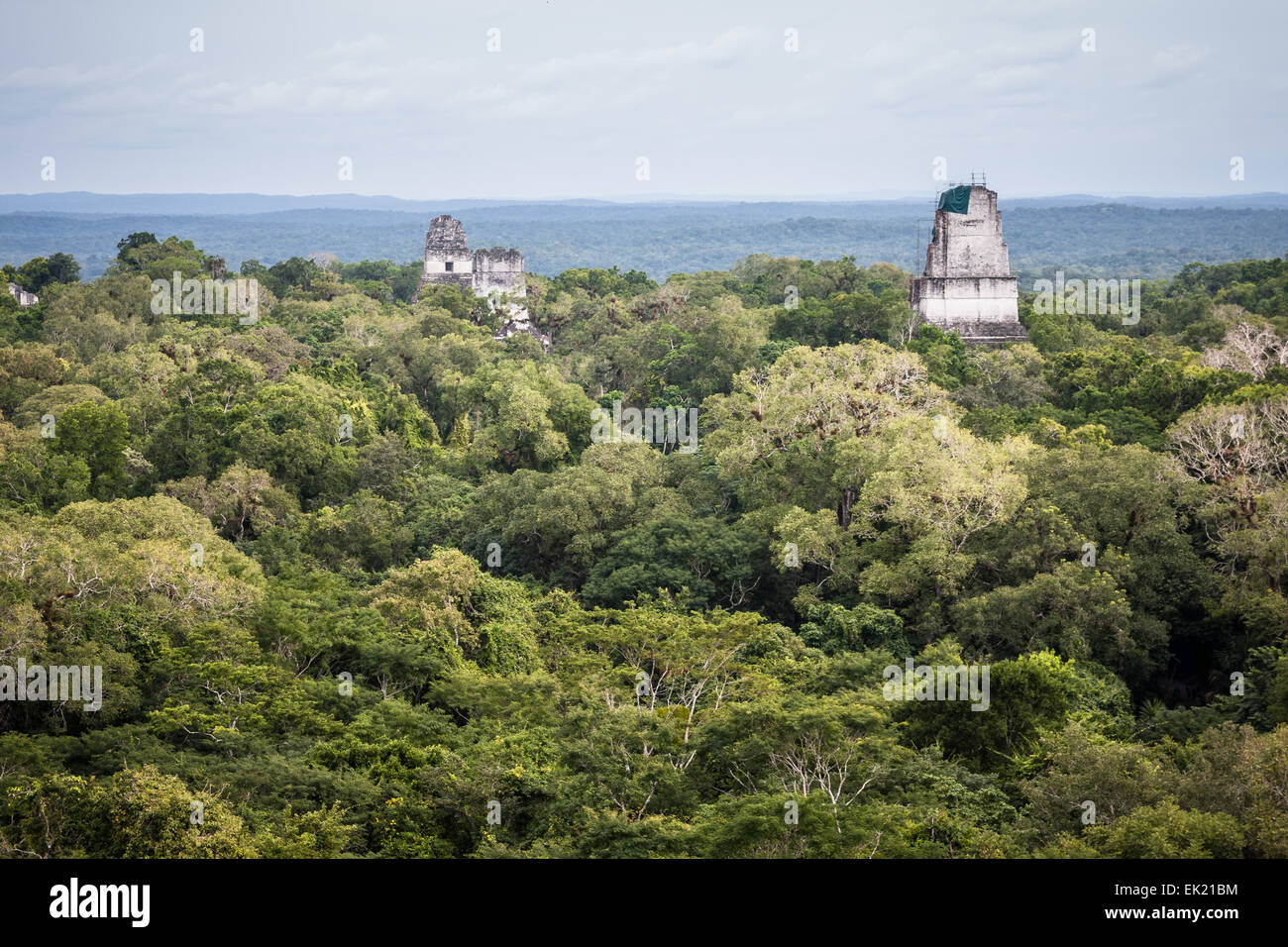 Il modulo visualizza il tempio IV, Tikal, Guatemala Foto Stock
