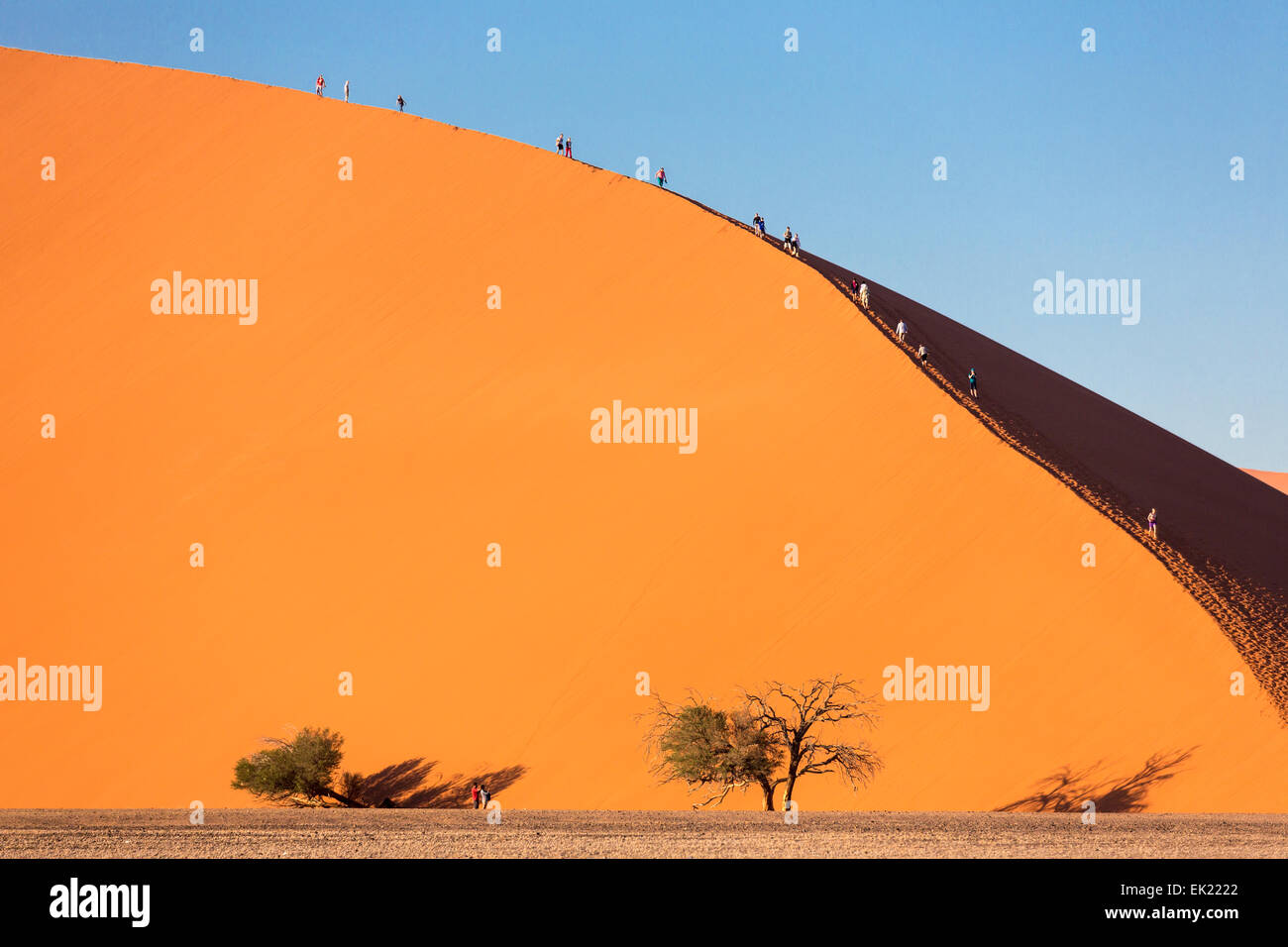 La mattina presto gli alpinisti sulle dune 45 vicino al Sossusvlei, Namib-Naukluft National Park, Namibia Foto Stock