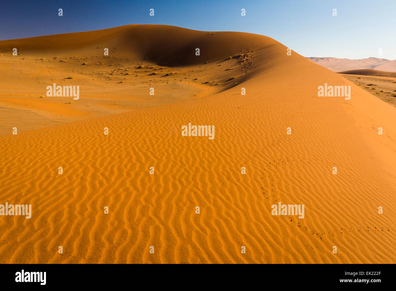 Dune di sabbia nel deserto del Namib vicino al Sossusvlei in Namib-Naukluft National Park, Namibia Foto Stock