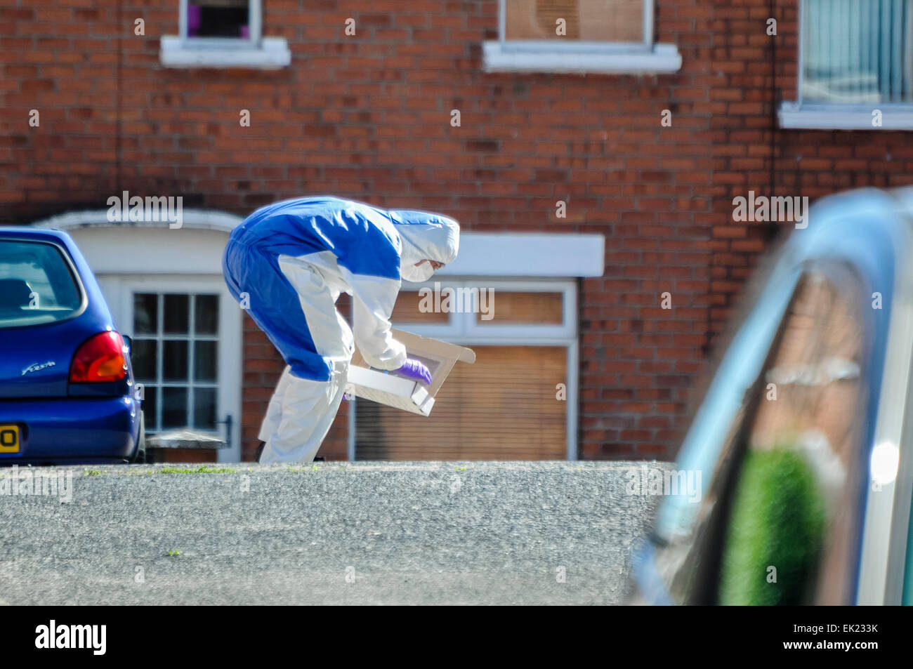 Il 25 agosto 2013, Belfast - un funzionario forense si piega verso il basso per sollevare le prove in una scatola durante un avviso di protezione nel East Belfast Foto Stock