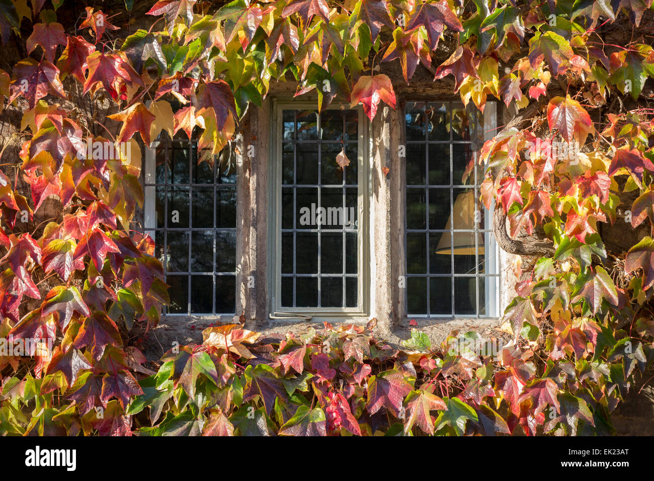 Abbey cottage finestra, Fountains Abbey, Ripon, North Yorkshire. Foto Stock