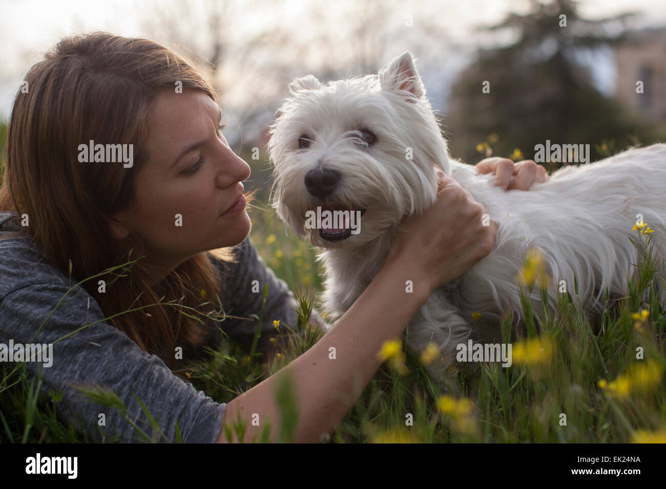 Donna felice gioca con il suo cane, un Westie (West Highland Terrier). Foto Stock