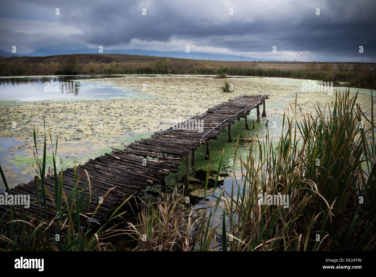 Un piccolo lago coperto con alghe verdi e un molo di legno. Foto Stock