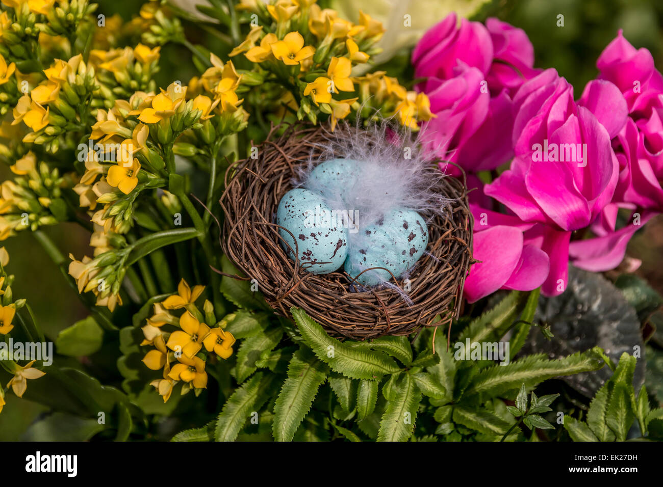 Messa a fuoco poco profonda su uova di Pasqua in un nido di piuma circondato da una disposizione del fiore. Foto Stock