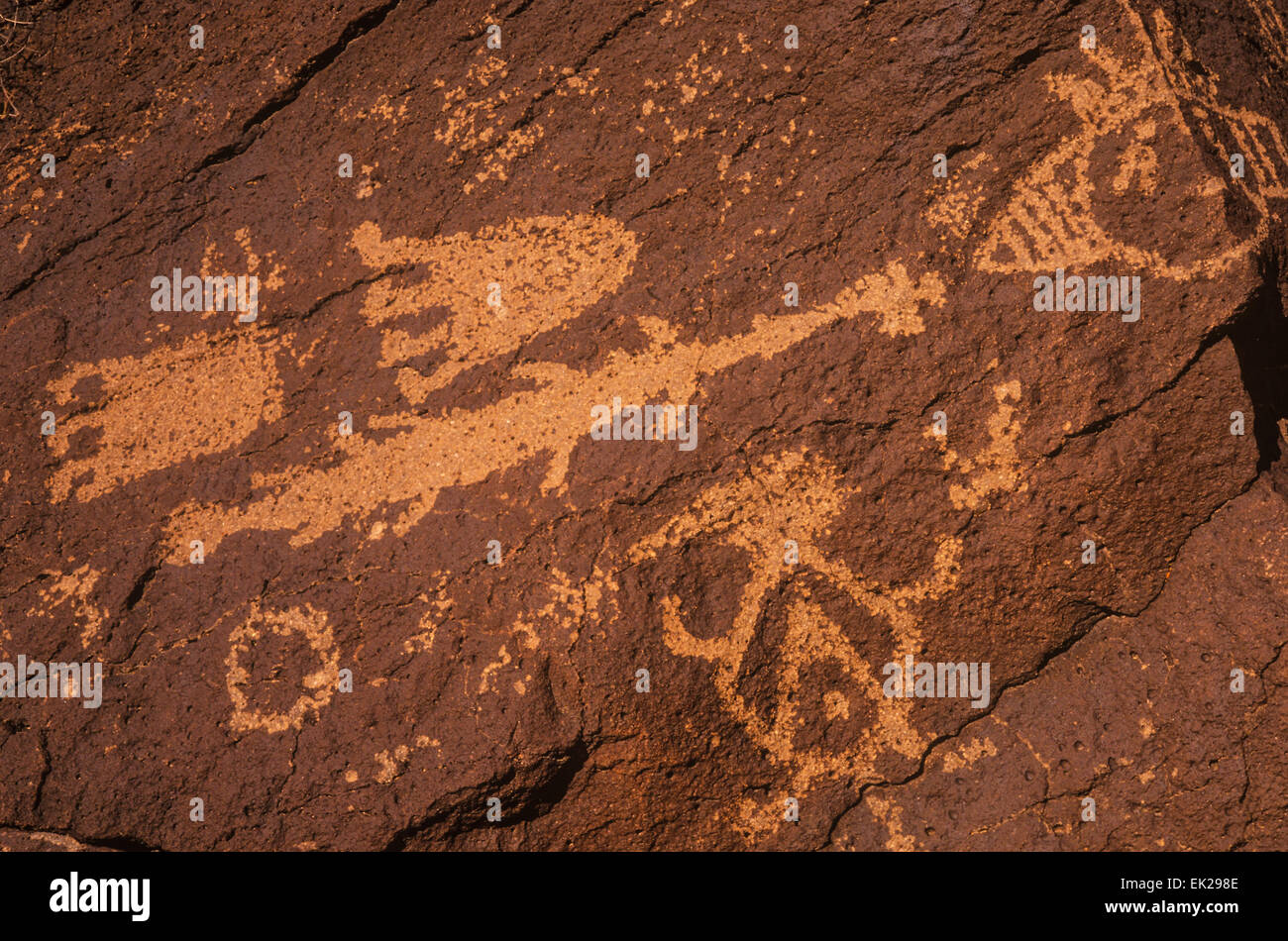 Petroglyph, Petroglyph National Monument, nei pressi di Albuquerque, Nuovo Messico Foto Stock