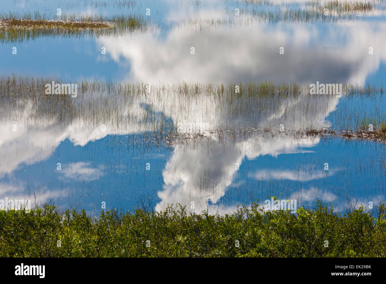 La riflessione di nuvole nel lago glaciale lungo la Denali Highway, Alaska, STATI UNITI D'AMERICA Foto Stock