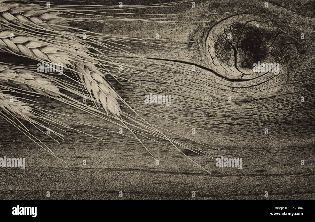 Vintage nozione di estratto secco di steli di grano su legno rustico Foto Stock