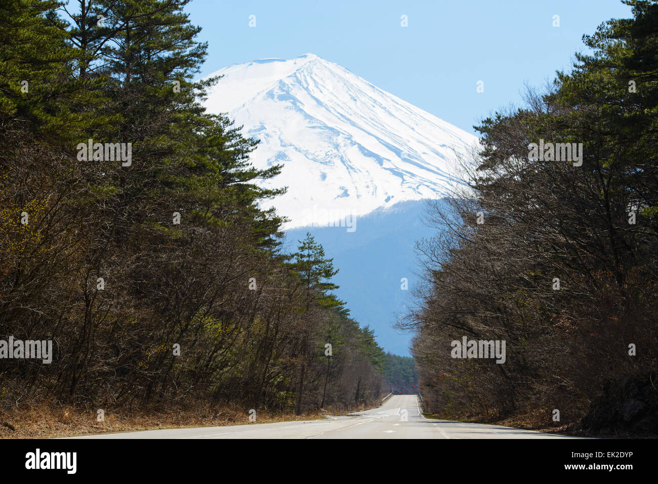 Strada di Montagna Foto Stock
