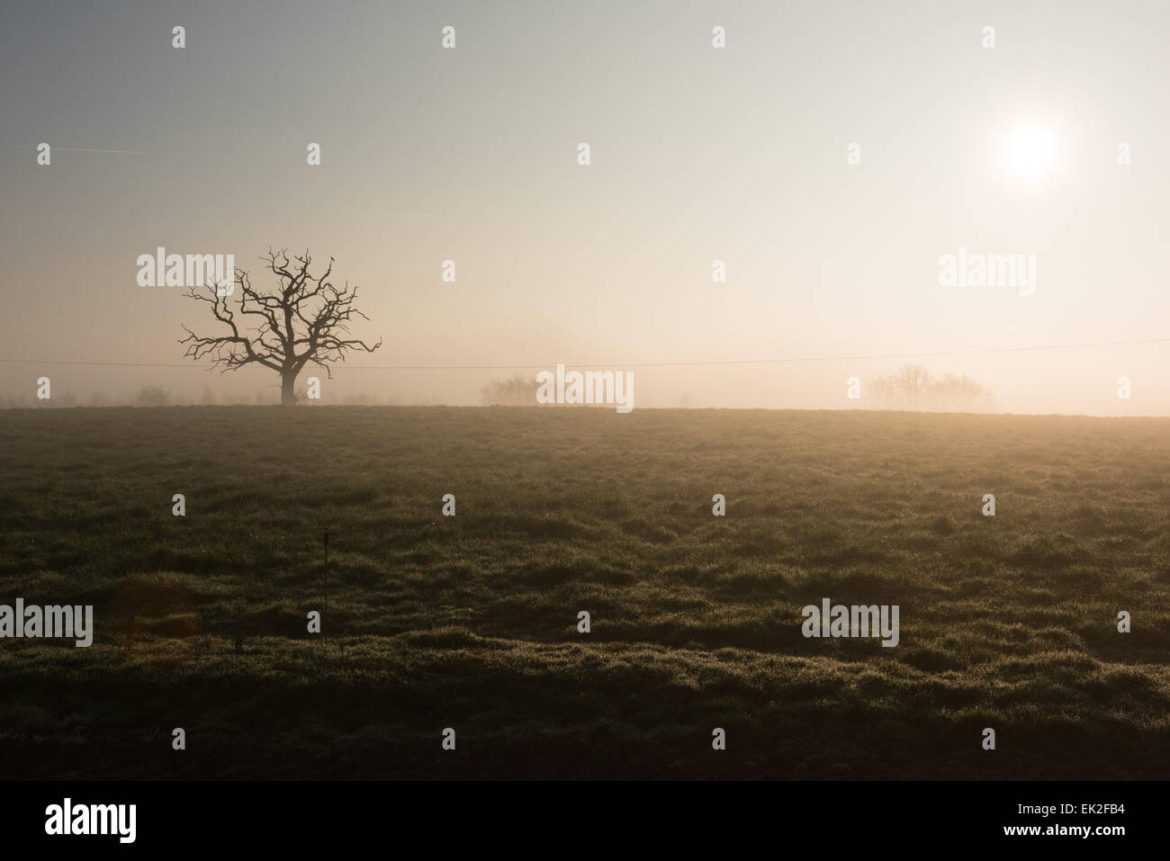 Fiume Severn nel Gloucestershire, UK. 6 Aprile, 2015. Regno Unito Meteo. Una nebbia per iniziare la giornata, Gloucestershire UK Credit: Daniel Fisher/Alamy Live News Foto Stock