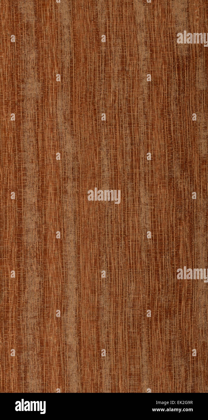 Alta risoluzione kempas texture di legno Foto Stock