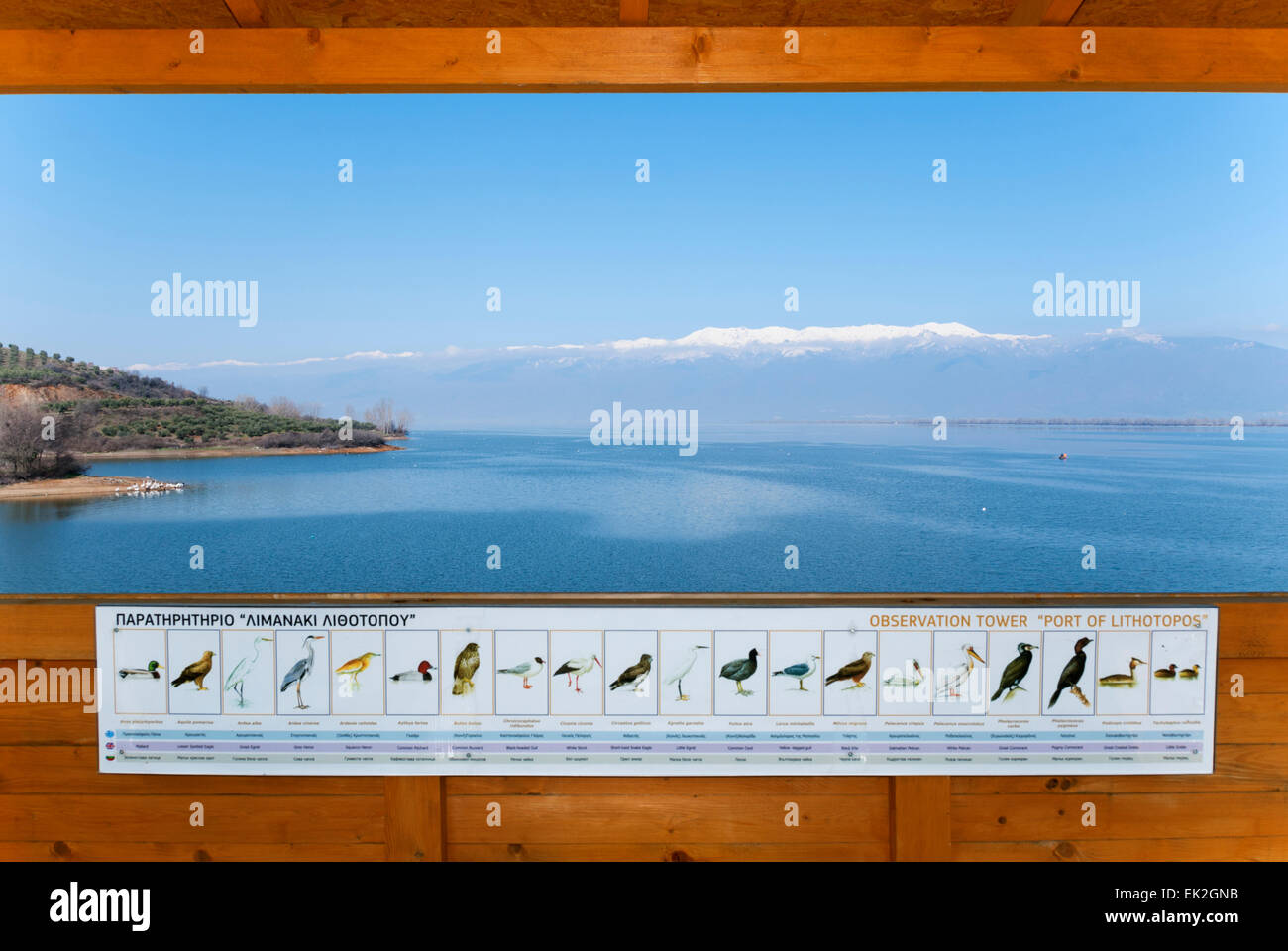 Vista da un bird watching torre presso il lago di Kerkini Grecia Foto Stock