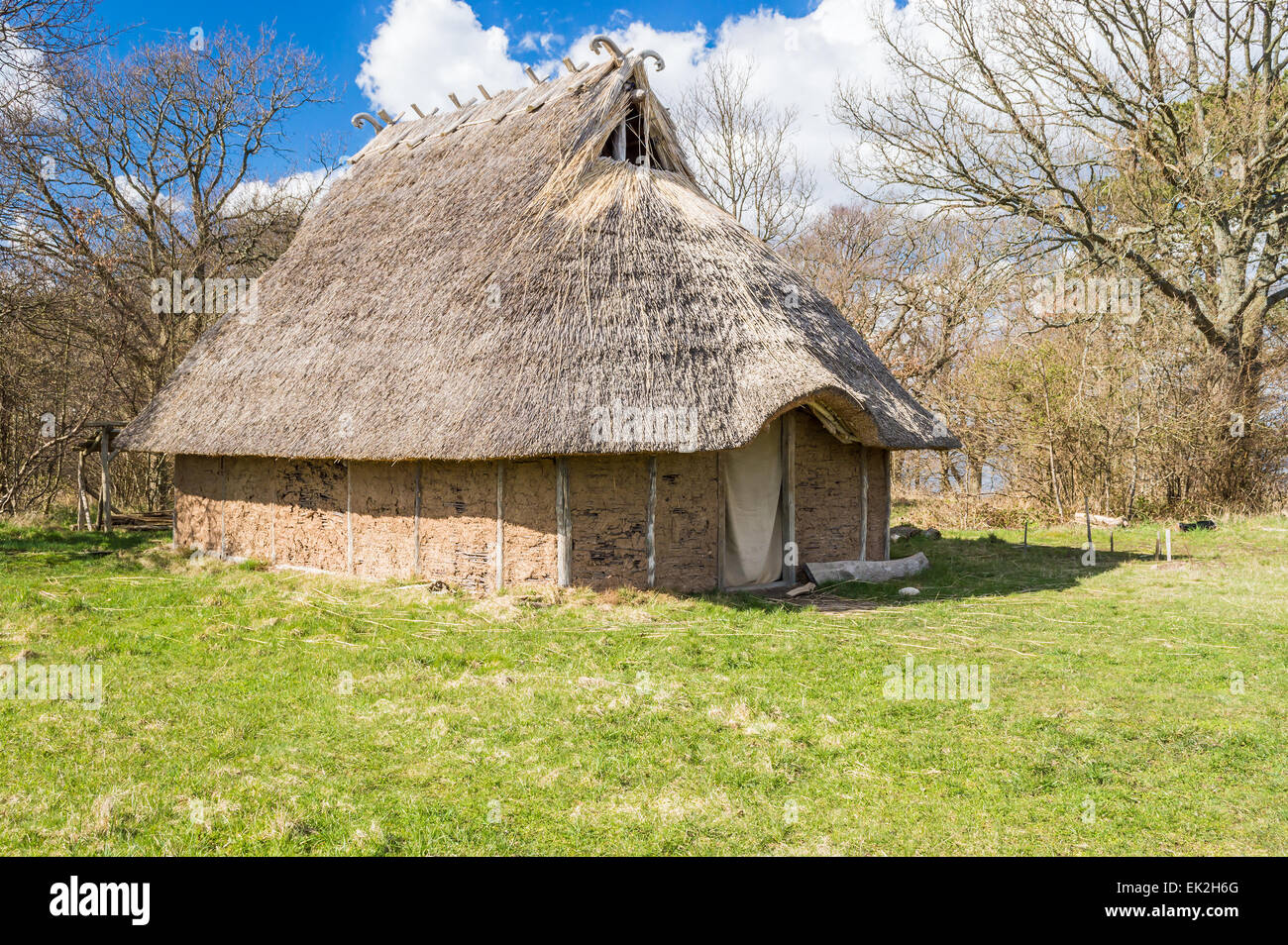 Parte di viking age village replica nella Svezia meridionale in primavera. Casa principale costituito da argilla e reed su pali di legno e carta velina Foto Stock