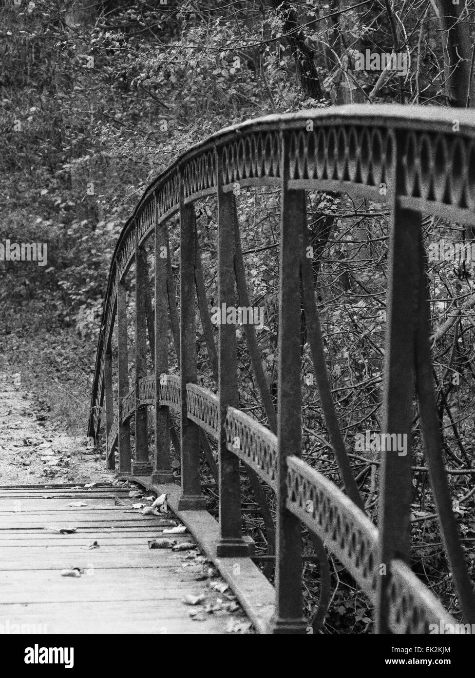 Nostalgico il vecchio ponte metallico in ambiente natura Foto Stock