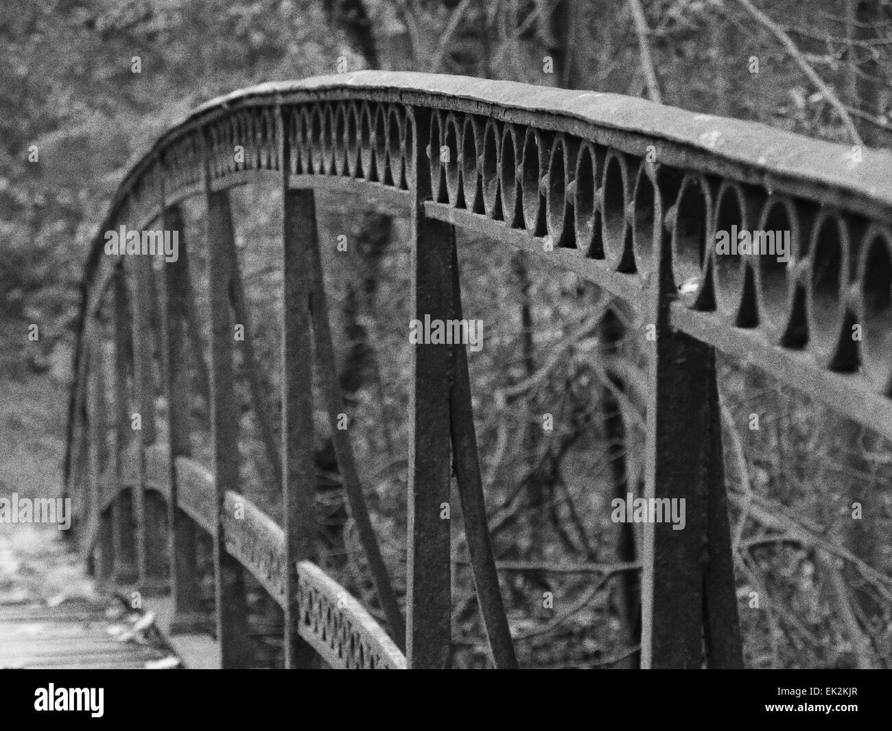 Nostalgico il vecchio ponte metallico in ambiente natura Foto Stock