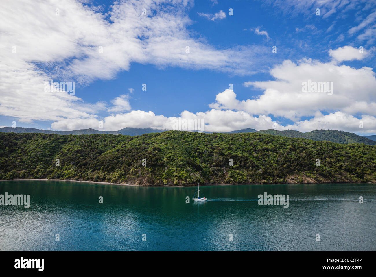 Yachting in Queen Charlotte Sound vicino a Picton, South Island, in Nuova Zelanda. Foto Stock