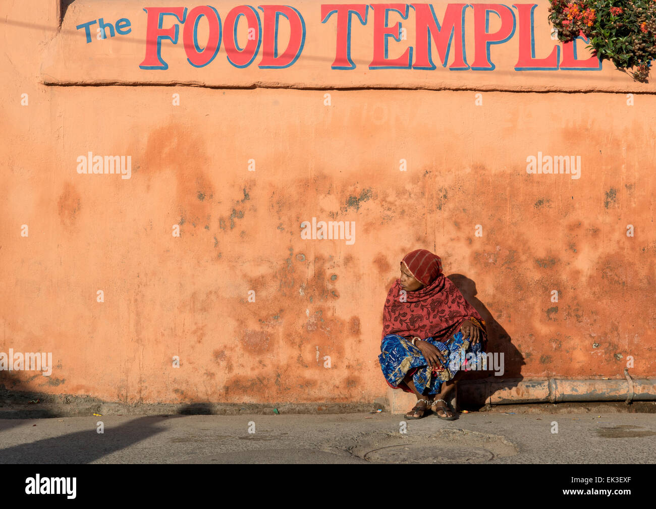 Donna indiana, Udaipur, Rajasthan, India Foto Stock
