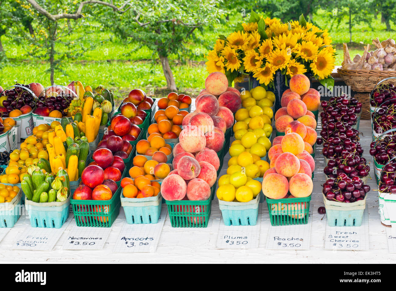 Canada,Ontario,Niagara sul lago, display di frutta e verdura in corrispondenza di un lato della strada del mercato di frutta Foto Stock