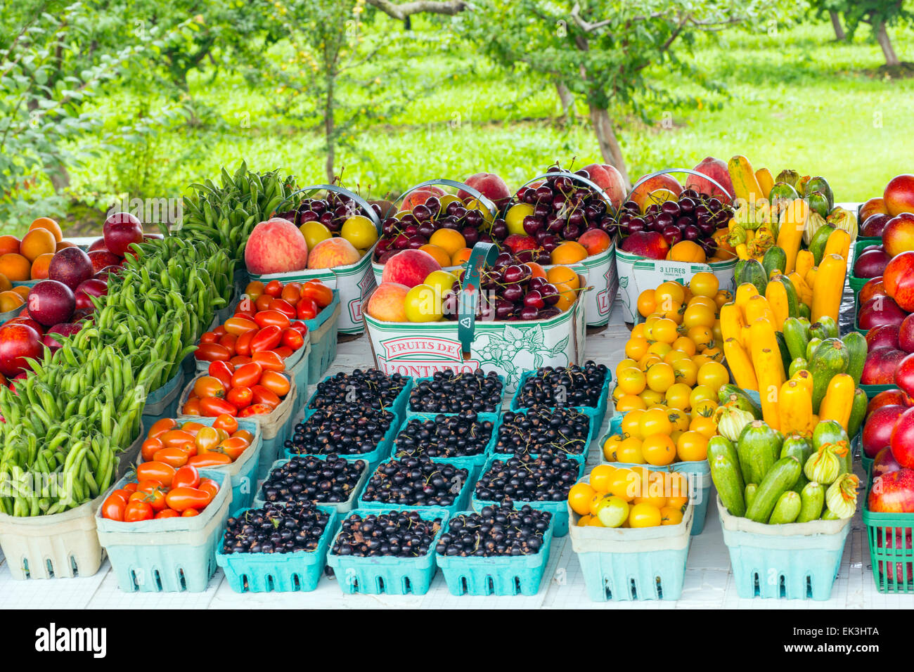 Canada,Ontario,Niagara sul lago, display di frutta e verdura in corrispondenza di un lato della strada del mercato di frutta Foto Stock