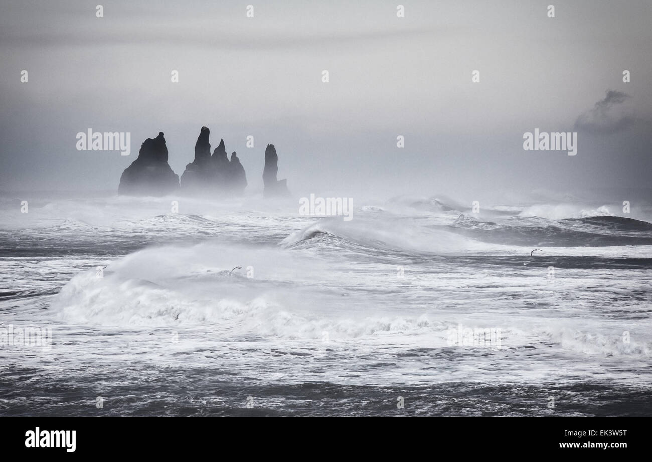 Onde gigantesche e mare mosso lungo la costa sud dell'Islanda, della pastella le pile di mare nei pressi di Vik. Foto Stock