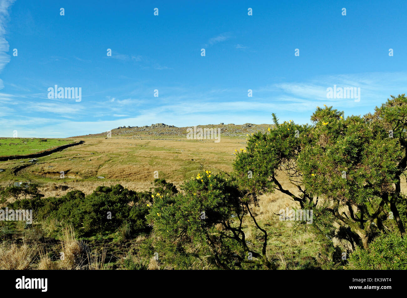 Guardando verso il ruvido Tor su Bodmin Moor in Cornwall, Regno Unito Foto Stock