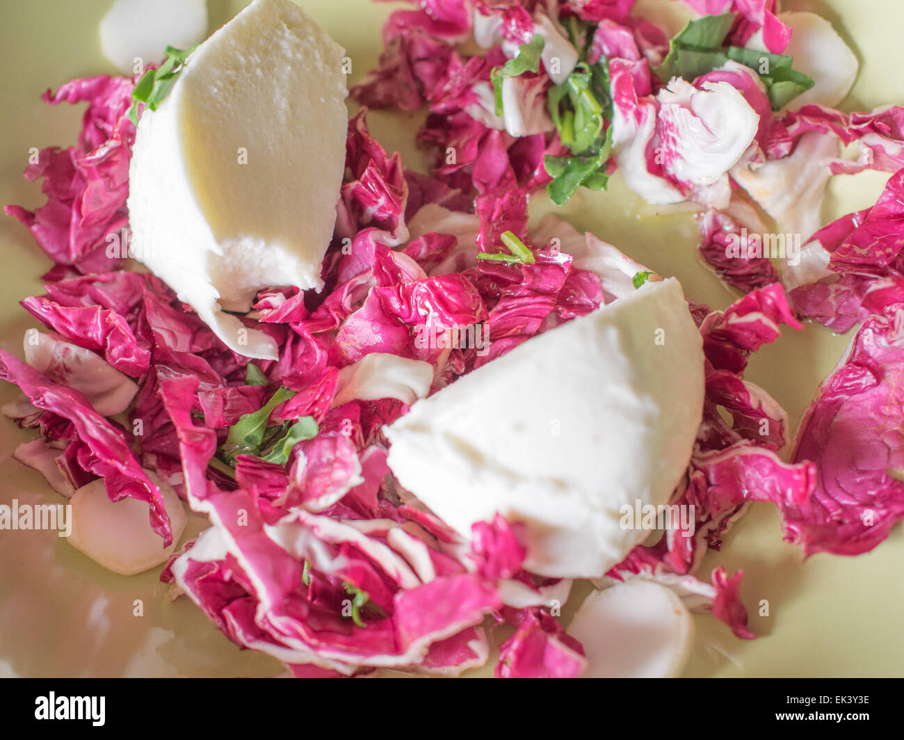 Rosso insalata di lattuga con mozzarella Foto Stock