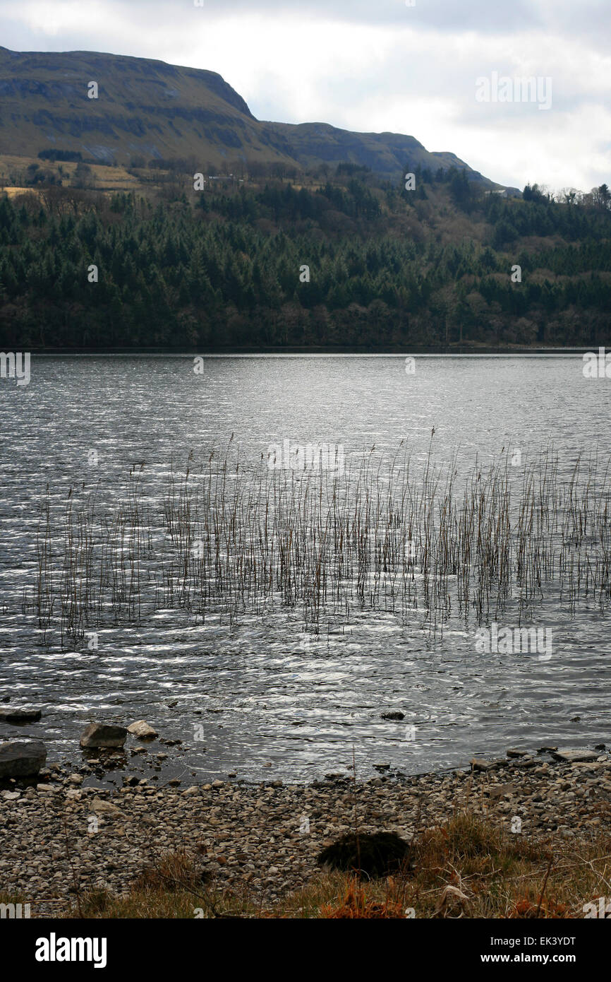 Glencar lago nella Contea di Sligo Leitrim Foto Stock