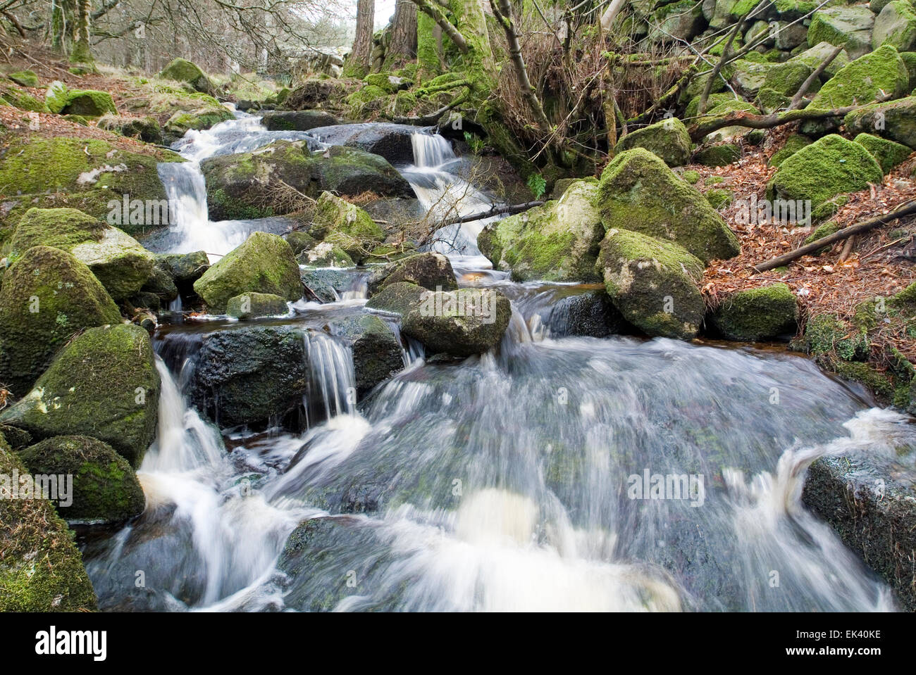 Cascata Monti Wicklow, Irlanda, Europa Foto Stock