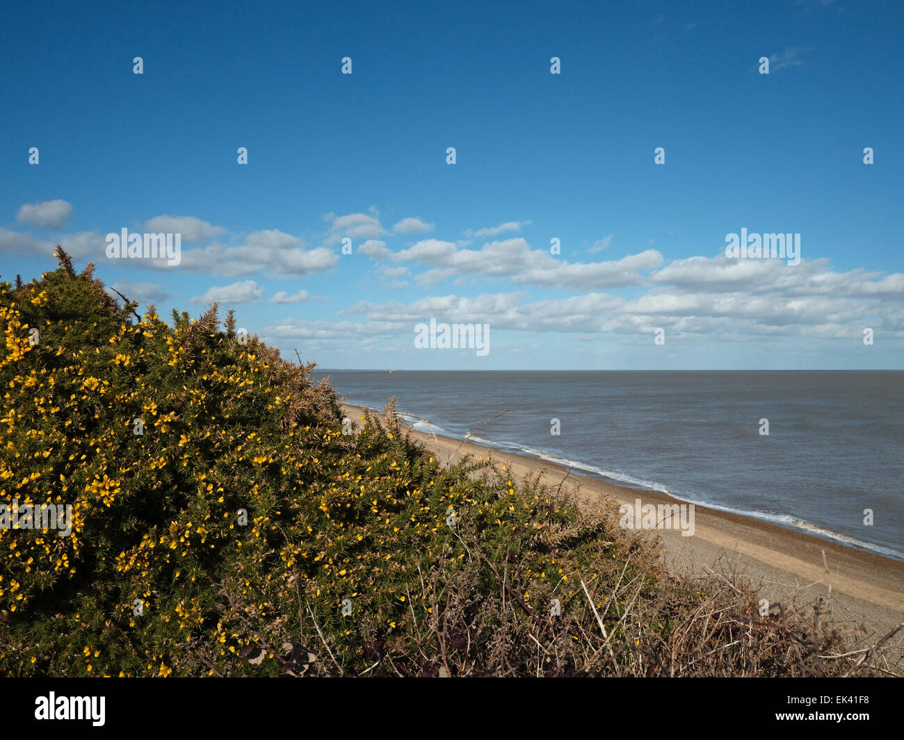 Suffolk Coast Path, Sizewell a Thorpe Ness e Aldeburgh Circular Walk, Suffolk, Inghilterra, Regno Unito Foto Stock