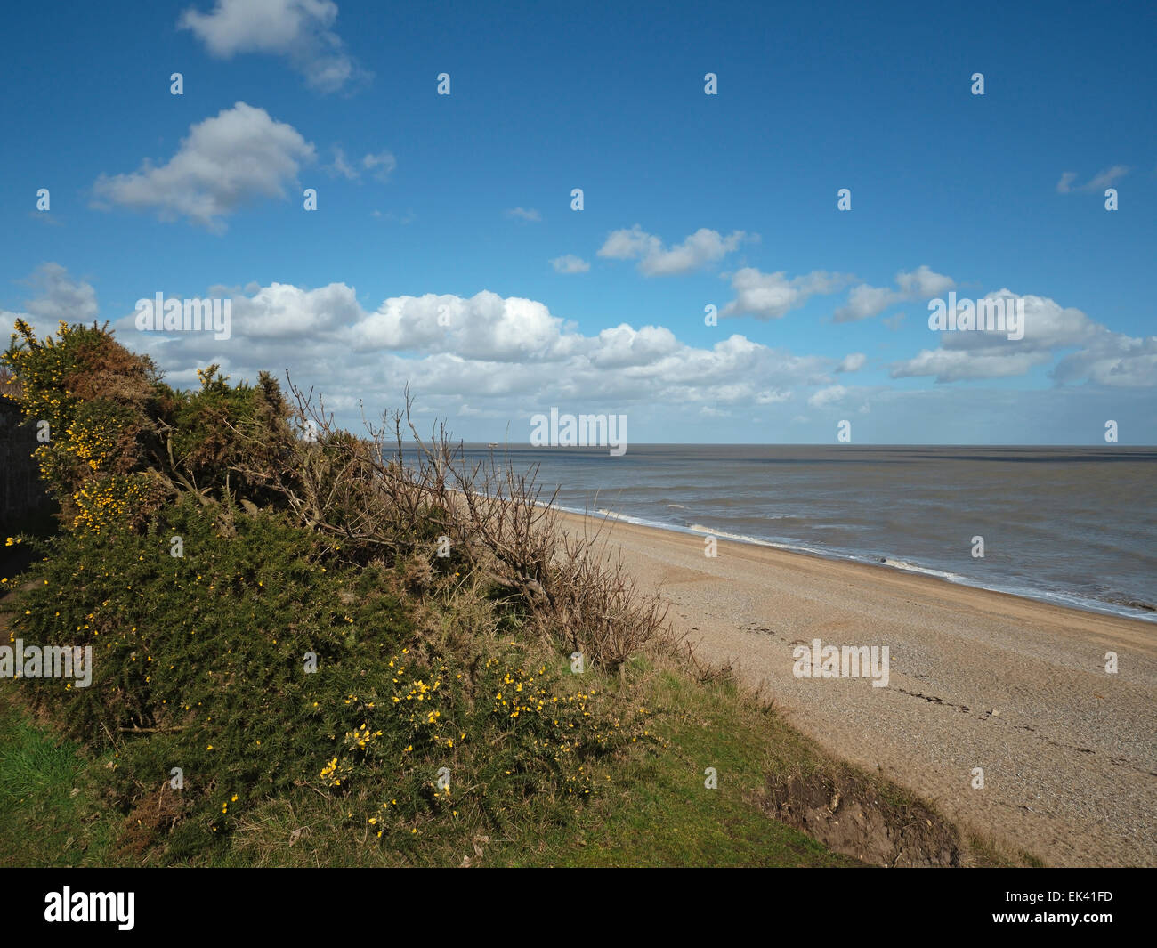 Suffolk Coast Path, Sizewell a Thorpe Ness e Aldeburgh Circular Walk, Suffolk, Inghilterra, Regno Unito Foto Stock