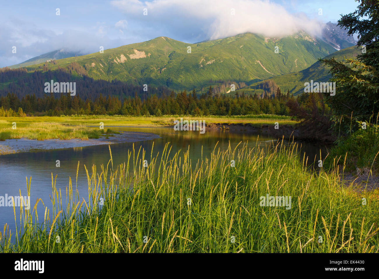 Il Parco Nazionale del Lago Clark, Alaska. Foto Stock