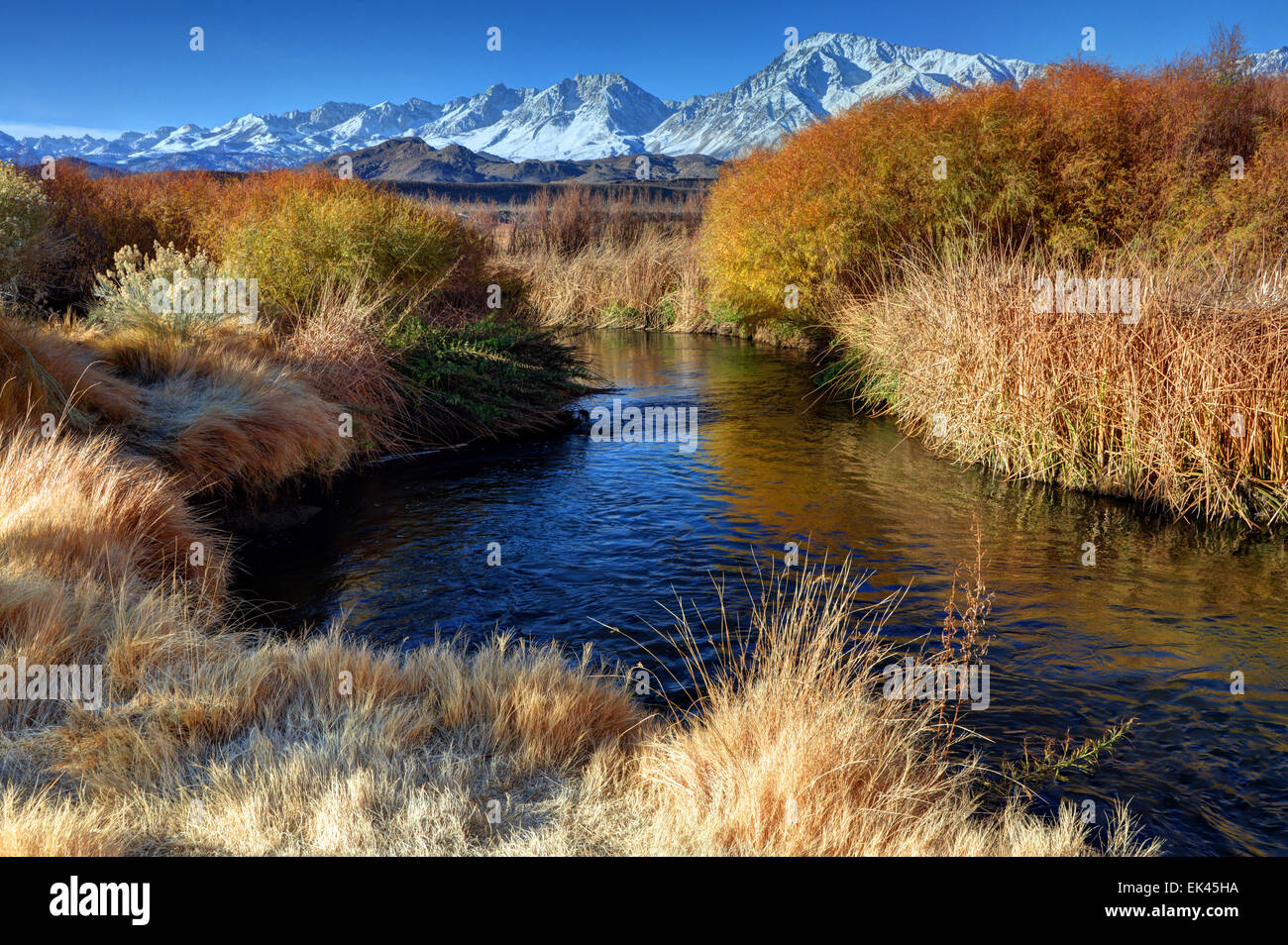 Owens River e Eastern Sierra Nevada Le montagne vicino al Vescovo, California Foto Stock