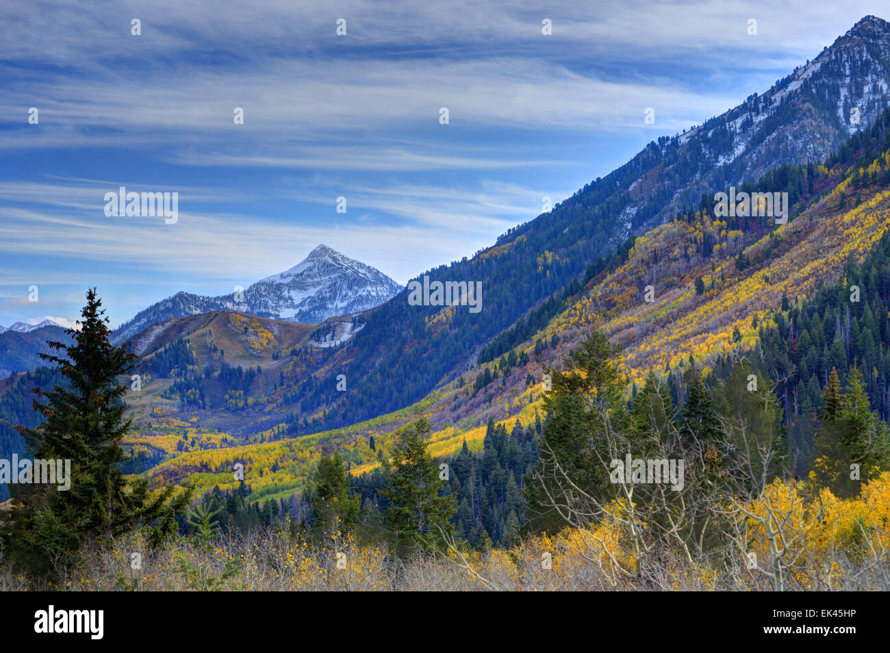 Caduta a picco in cascata e Sundance dal loop di alpini - Montagne Wasatch - Utah Foto Stock