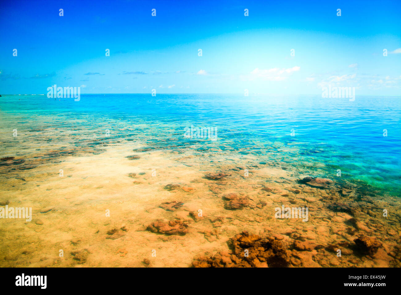 Spiaggia sabbiosa tropicale Maldive Foto Stock