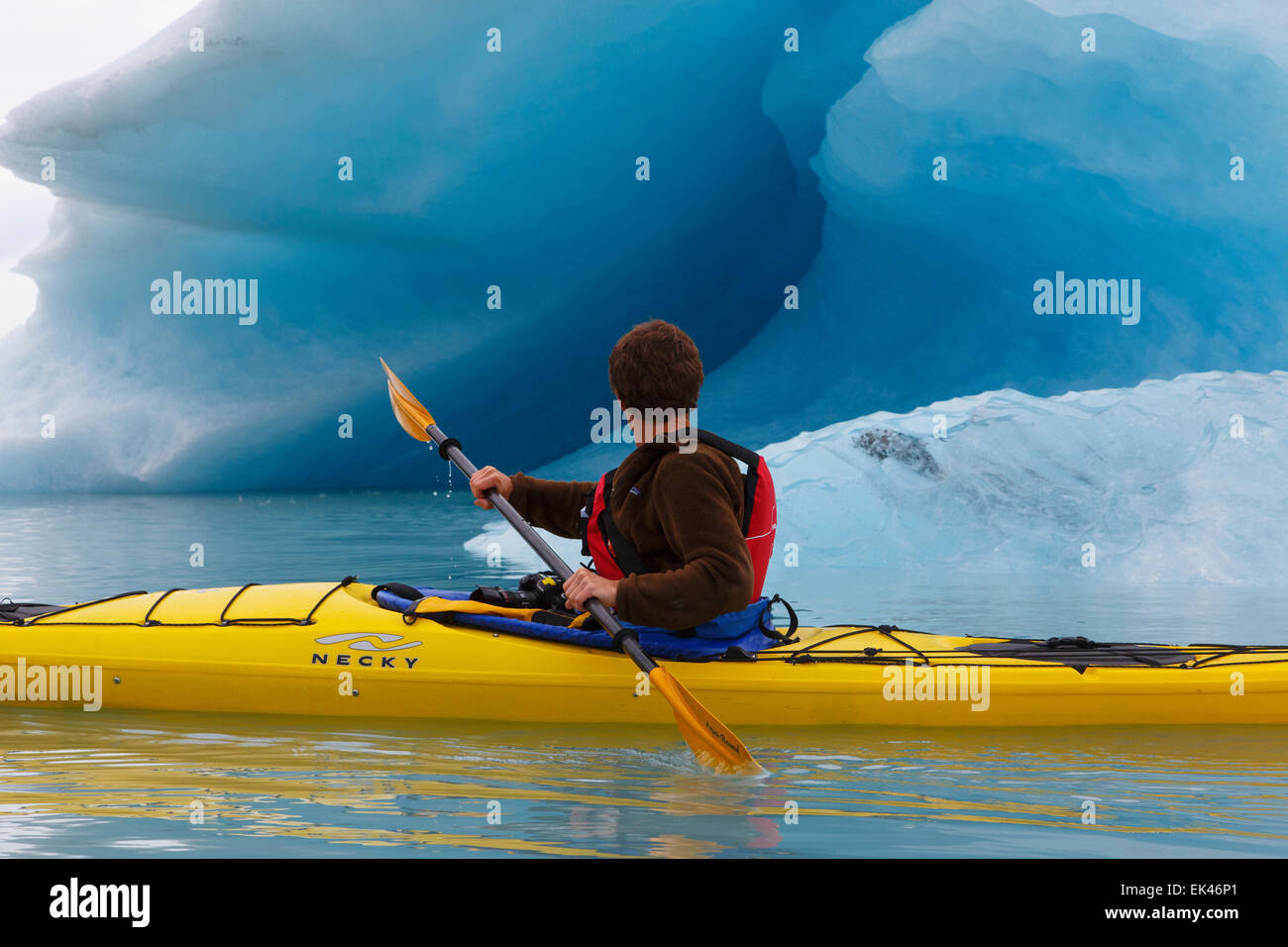Fare kayak in orso laguna glaciale, il Parco nazionale di Kenai Fjords, vicino a Seward, Alaska. (Modello rilasciato) Foto Stock