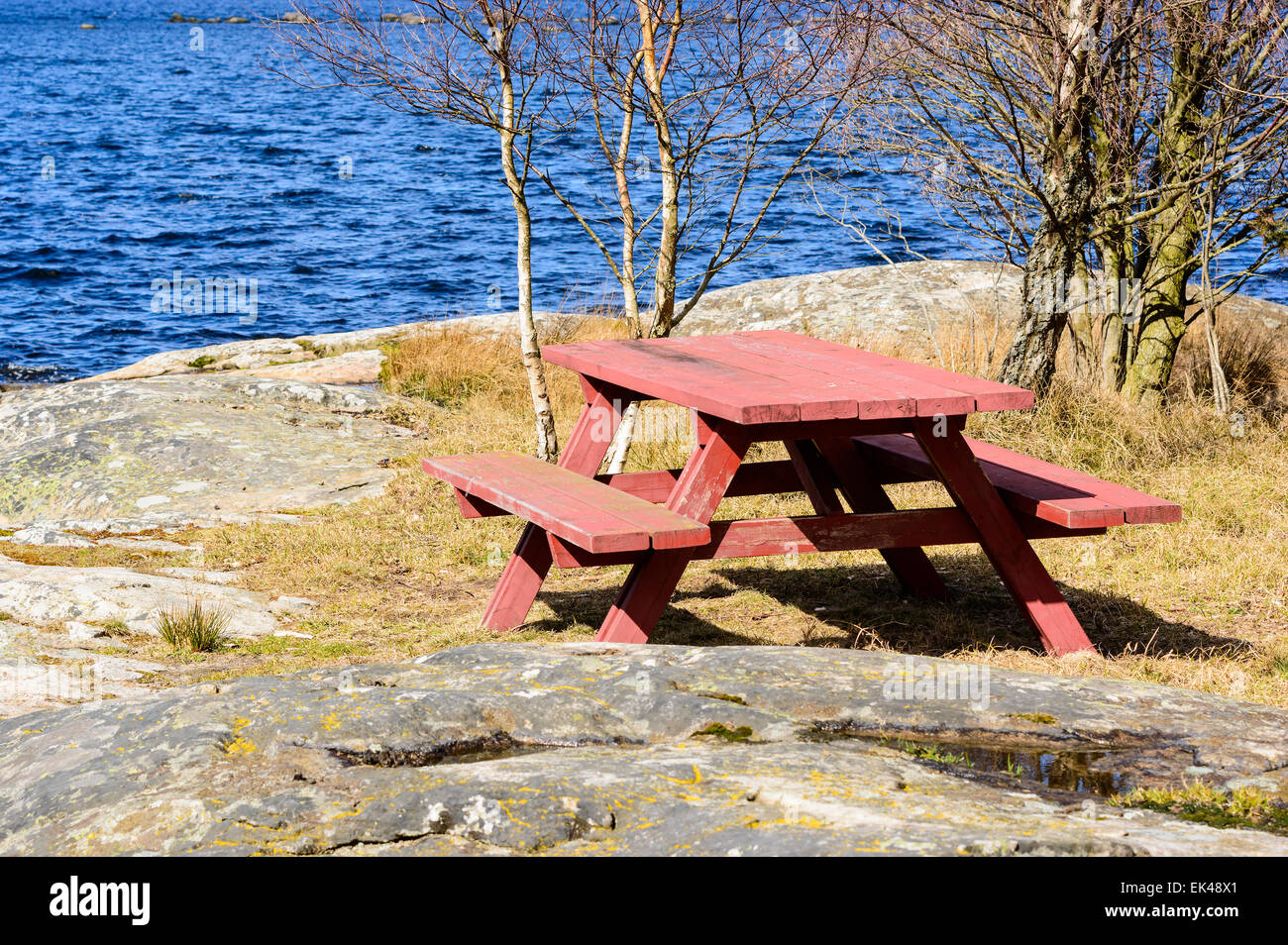 Panca e tavolo in natura vicino al mare di betulle dietro. Dipinto di rosso permanente sulla roccia con qualche erba secca all'inizio di s Foto Stock