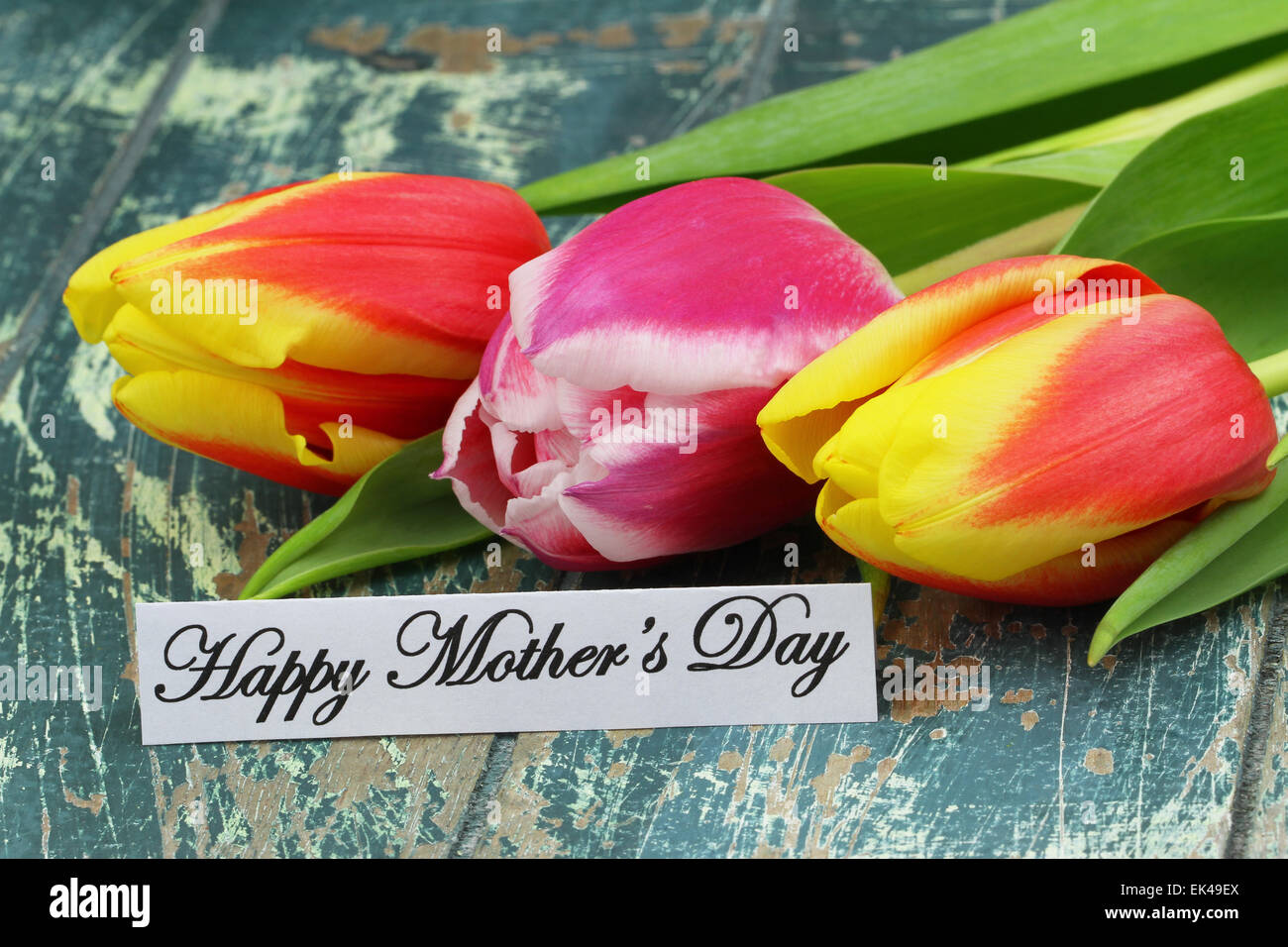 Felice Festa della mamma card con tulipani colorati Foto Stock