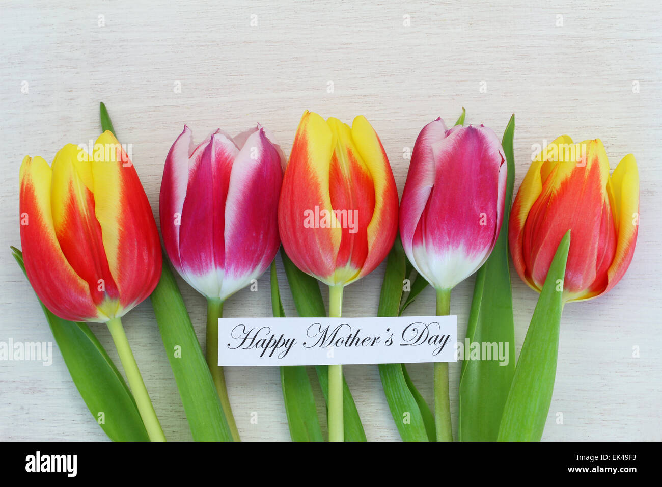 Felice Festa della mamma card con tulipani colorati Foto Stock