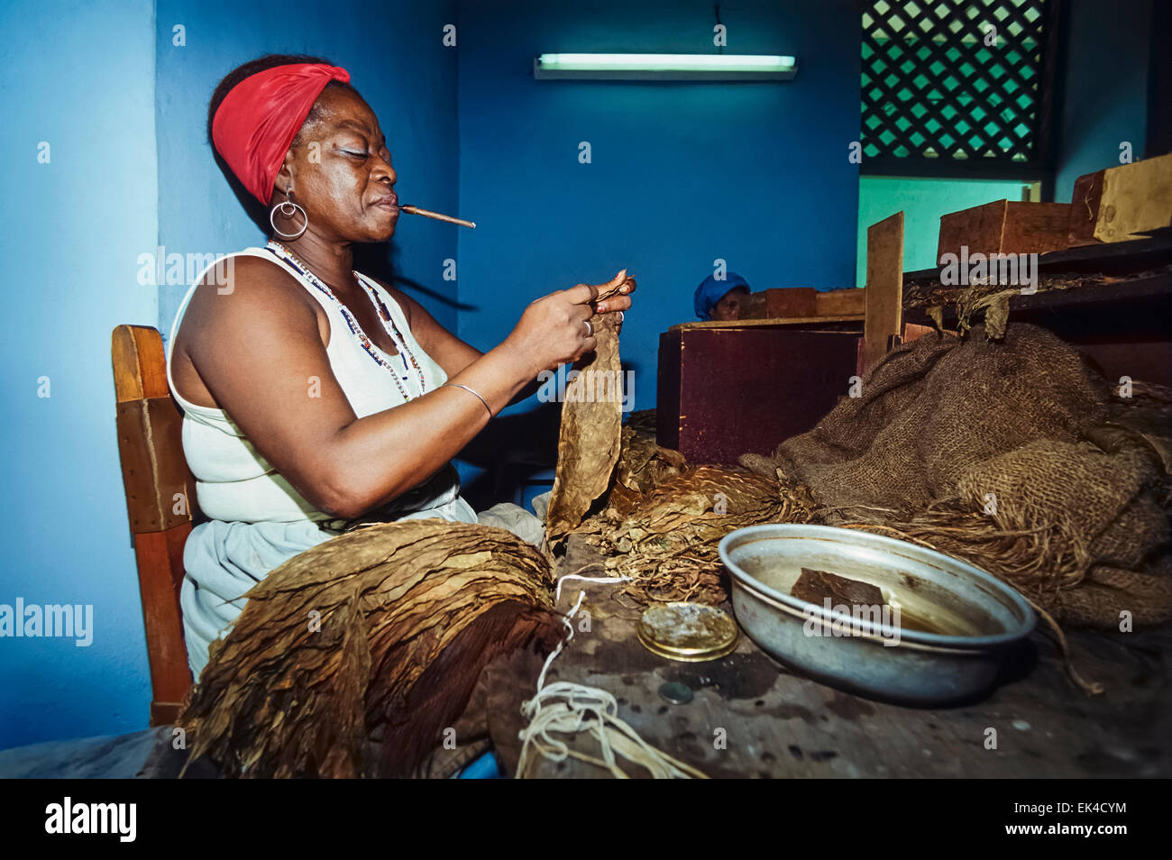 CUBA, Pinar Del Rio, donna cubana a lavorare in una fabbrica di sigari - Scansione su pellicola Foto Stock